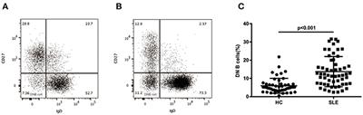 Double Negative B Cell Is Associated With Renal Impairment in Systemic Lupus Erythematosus and Acts as a Marker for Nephritis Remission